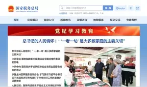 国外打不开税务网站