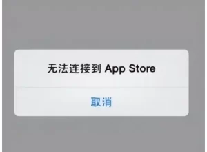 AppStore无法连接